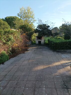 villa Leporano (1)