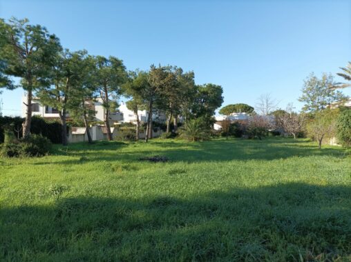 villa Leporano (5)