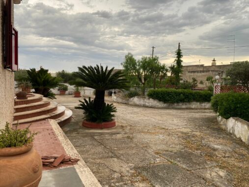 via cilea 12