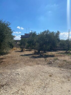 via cilea 4