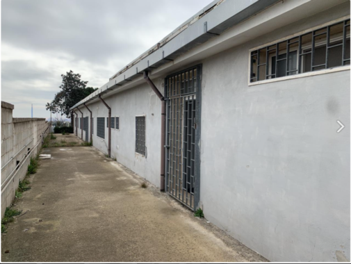 FOTO5