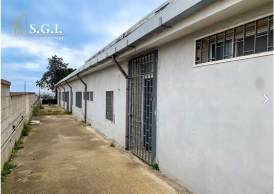 FOTO5
