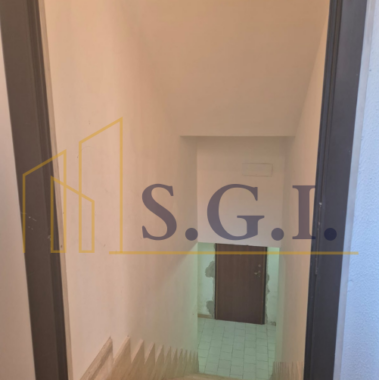 S.G.I. (14)