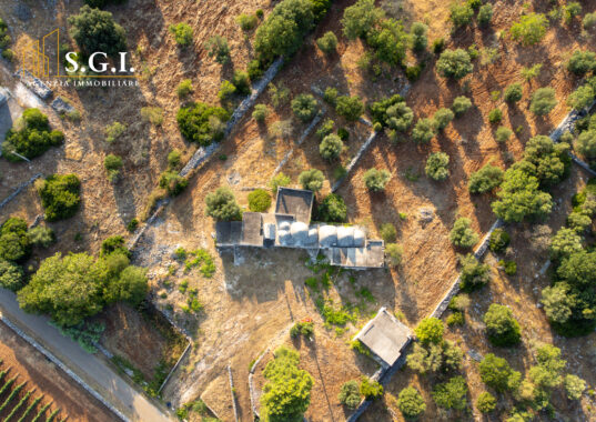 DJI_0169